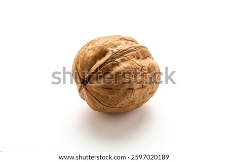 Walnut isolated on white background