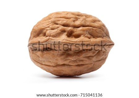 Walnut isolated on a white background.