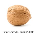 Walnut isolated on white. Clipping path.