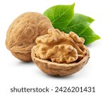 Walnut isolated. Two unpeeled walnuts with leaves on white background. Walnut nut with shell. Side view. With clipping path. Full depth of field. Perfect not AI walnut, true photo.
