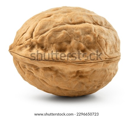 Walnut isolated. Unpeeled walnut on white background. Perfect retouched walnut nut with shell. Side view. With clipping path. Full depth of field.