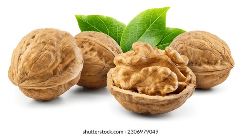 Walnut isolated. Unpeeled walnuts with a nut half and leaves on white background. Walnut nuts horizontal composition. Side view. With clipping path. Full depth of field. Perfect not AI walnut, true ph
