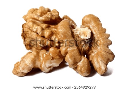 Walnut Kernel isolated on white background.