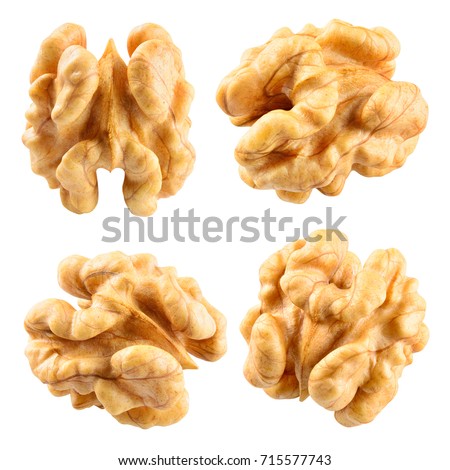 Walnut. Walnut kernel. Nut isolated on white. With clipping path.