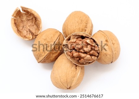 Walnut nut isolate on white background, isolated of walnut