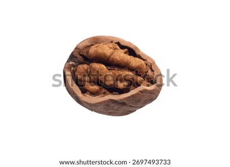 Walnut on a white background. Split Walnut. Soft focus