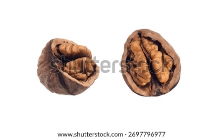 Walnut on a white background. Split Walnut. Soft focus