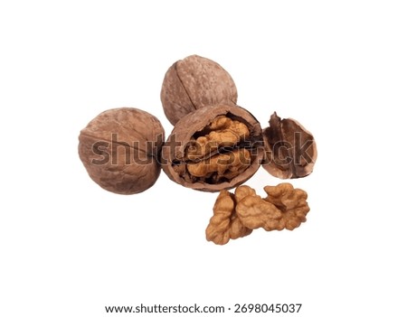 Walnut on a white background. Split Walnut. Soft focus