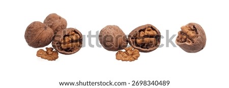 Walnut on a white background. Split Walnut. Soft focus