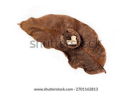 Walnut on a white background. Split Walnut. Soft focus. Walnut lies on an autumn walnut leaf.