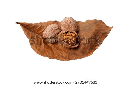 Walnut on a white background. Split Walnut. Soft focus. Walnut lies on an autumn walnut leaf.