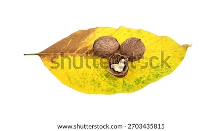 Walnut on a white background. Split Walnut. Soft focus. Walnut lies on an autumn walnut leaf.