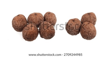 Walnut on a white background. Split Walnut. Soft focus. 