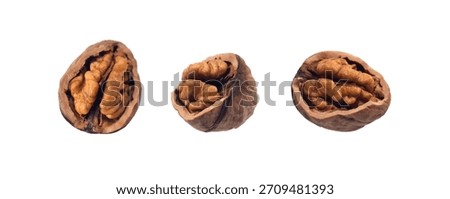 Walnut on a white background. Split Walnut. Soft focus. 