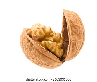 Walnut opened isolated on white. Clipping path.