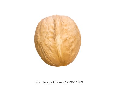 Walnut In Shell Isolated On White Background. High Quality Photo