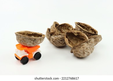 Walnut Shell Lying In Small Orange Toy Truck Bed On White Background And Walnut Shells Waiting To Be Loaded