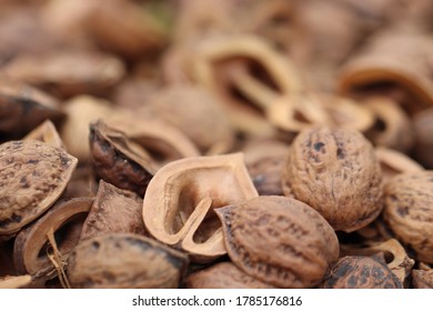 A lot of walnut shells.