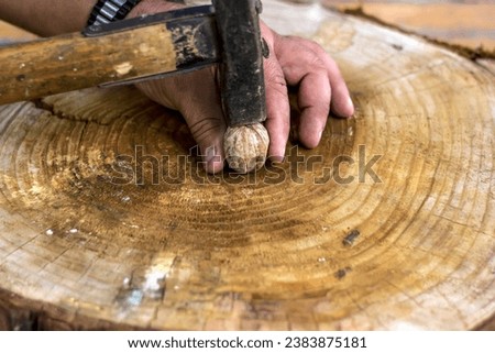 Walnut shells and a whole walnut prepared for cracking with old hammer.