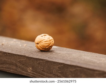 A walnut sits quietly on a wooden railing surrounded by colorful autumn foliage, capturing a peaceful moment. - Powered by Shutterstock