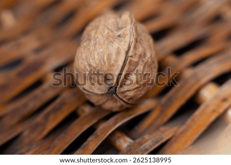 Walnut with three shells, in a basket.The walnut with its particolar shape, tripartite or trilobate, which is a rarity, a bit like the four-leaf  clover, according to some beliefs is a lucky charm