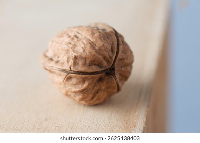 Walnut with three shells. The walnut with its particolar shape, tripartite or trilobate, which is a rarity, a bit like the four-leaf  clover, according to some beliefs is a powerful lucky charm