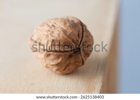 Walnut with three shells. The walnut with its particolar shape, tripartite or trilobate, which is a rarity, a bit like the four-leaf  clover, according to some beliefs is a powerful lucky charm