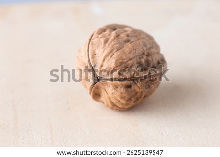 Walnut with three shells. The walnut with its particolar shape, tripartite or trilobate, which is a rarity, a bit like the four-leaf  clover, according to some beliefs is a powerful lucky charm