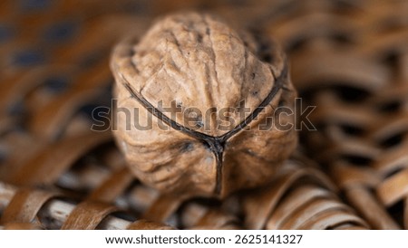 Walnut with three shells. The walnut with its particolar shape, tripartite or trilobate, which is a rarity, a bit like the four-leaf  clover, according to some beliefs is a powerful lucky charm