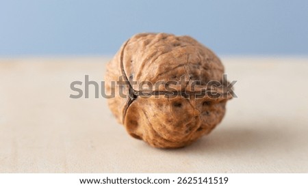 Walnut with three shells. The walnut with its particolar shape, tripartite or trilobate, which is a rarity, a bit like the four-leaf  clover, according to some beliefs is a powerful lucky charm