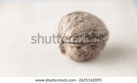 Walnut with three shells. The walnut with its particolar shape, tripartite or trilobate, which is a rarity, a bit like the four-leaf  clover, according to some beliefs is a powerful lucky charm