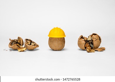 Walnut Wearing PPE Yellow Hard Hat For OSHA Safety Electrical Job Site LMS Training