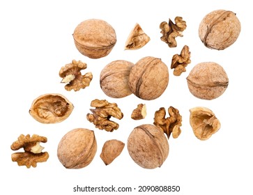 Walnut whole and chopped falls close-up on a white background, cut. Isolated