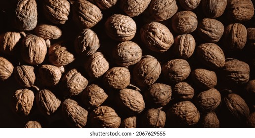 Walnuts Background. Tasty Nut Is Diet Snack. Close-up. Copy Space. Healthy Food. Drying Harvest. Useful Brain Nutrients. Brown Color. Wallpaper. Banner. Beautiful Still Life On Dark Backdrop. Texture.