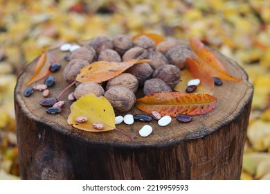 Walnuts And Beans In The Garden On An Oak Stump.