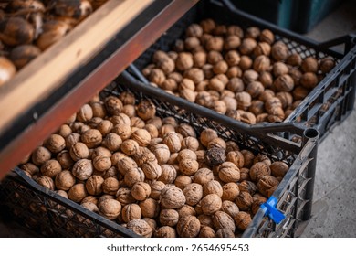Walnuts in boxes, close-up in a warehouse.