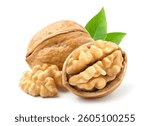 Walnuts isolated on white background.
