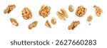 Walnuts Isolated on White Background, Overhead View