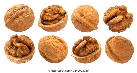 Walnuts isolated on white background with clipping path, collection