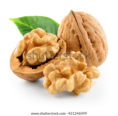 Walnuts with leaf isolated on white. With clipping path.