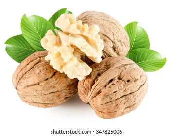 Walnuts With Nucleous Isolated On The White Background