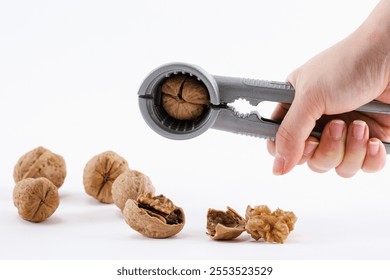 Nueces y cascanueces sobre fondo blanco
