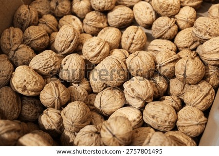 Walnuts in shell close up. Healthy snack concept. Natural food background. Organic nutrition idea. Agriculture harvest product for grocery market and plant protein texture.