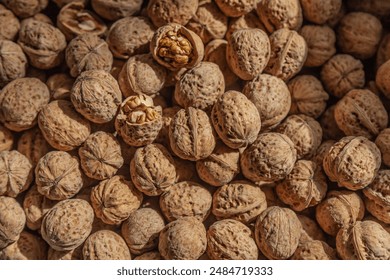 Walnuts in shell, close up, top view. Autumn harvest, unshelled walnuts textured background. - Powered by Shutterstock