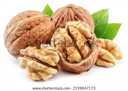 Walnuts, walnut kernel and green leaves isolated on white background.