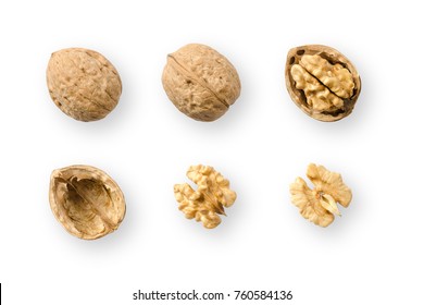 Walnuts, whole and opened, on white background. Top views of nuts and kernel halves. Seeds of the common walnut tree Juglans regia, used as snack and for baking. Macro food photo close up from above.