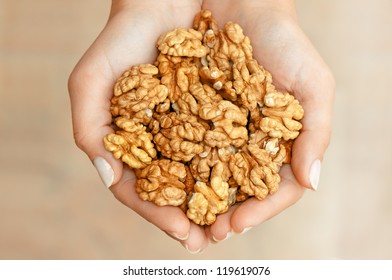 Walnuts In Woman Hands