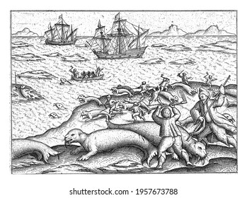 Walrus Hunt On The Maiden Voyage, July 31, 1594