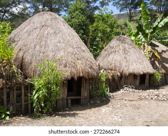 Wamena, Indonesia - January 23, 2015: Cottage covered with dry leaves of banana in the Dani tribe village.