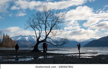 
Wanaka/ New Zealand - July 2017: A Family Visiting Lone Tree Of Wanaka 